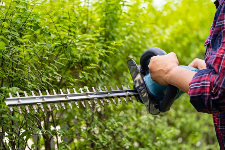 Dream Of Someone Cutting Grass