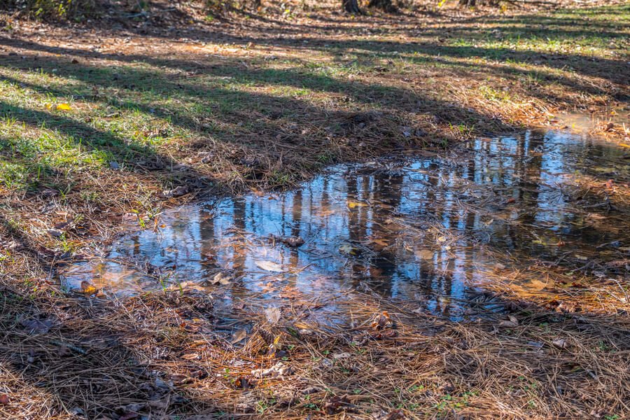 Dream Of House Leaking Water