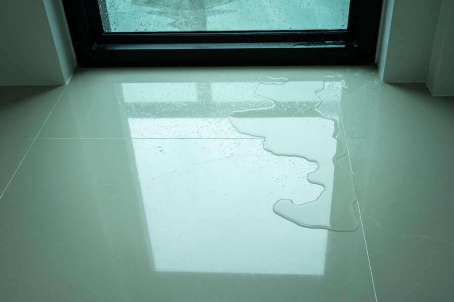 Dream Of House Leaking Water